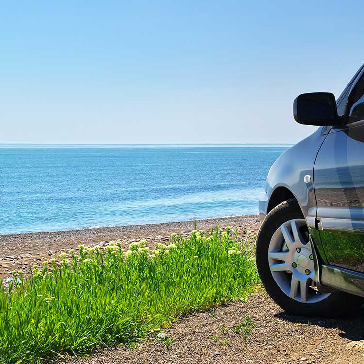 How to Hire Private Car Services and Chauffeurs for Spring Break in Tampa Bay<br />
