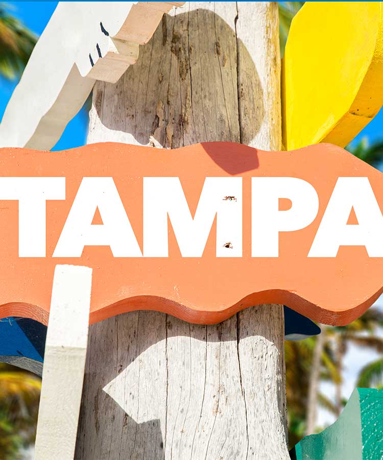 Top Destinations in Tampa Bay to Explore<br />
