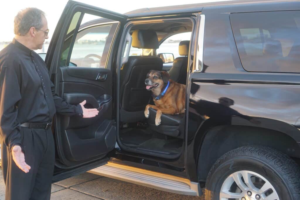 chauffeur Riley
